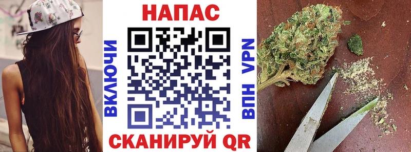 shop наркотические препараты  купить наркоту  Щучье  Конопля гибрид 